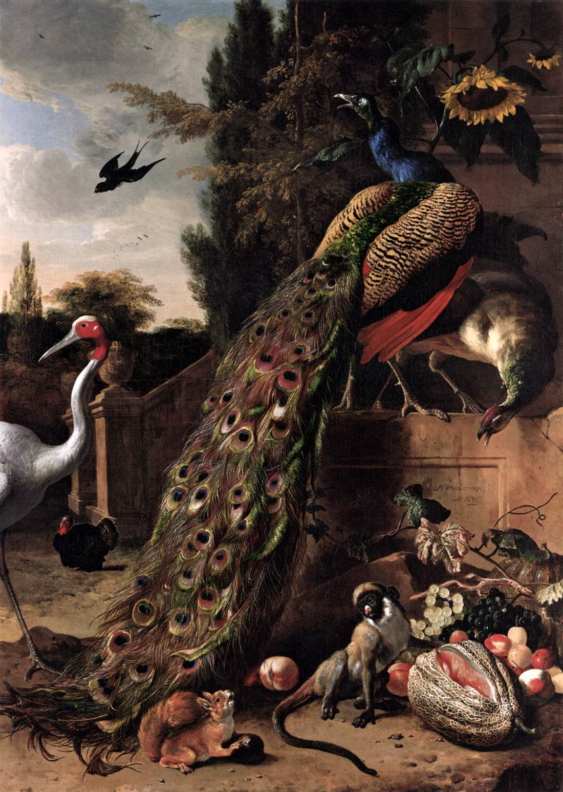 peacocks